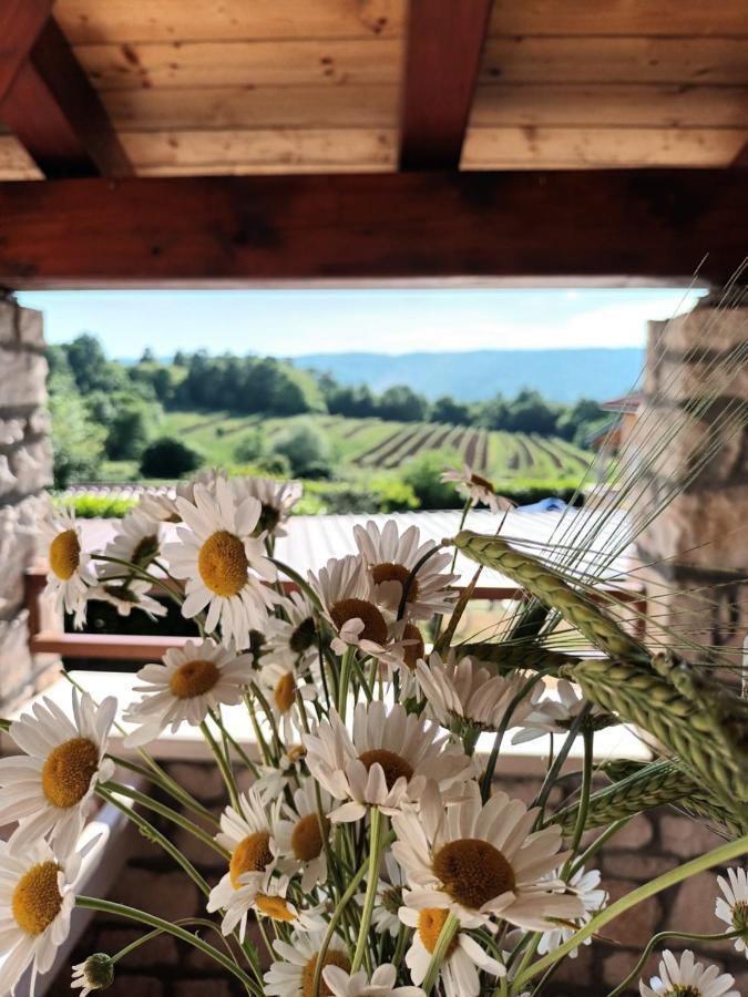 Guesthouse Marija Potpićan Exteriör bild